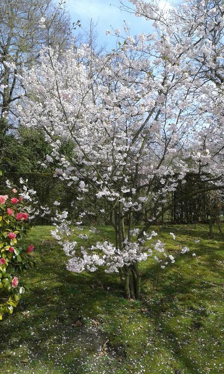 B&B Appelkers II Kortessem Zewnętrze zdjęcie